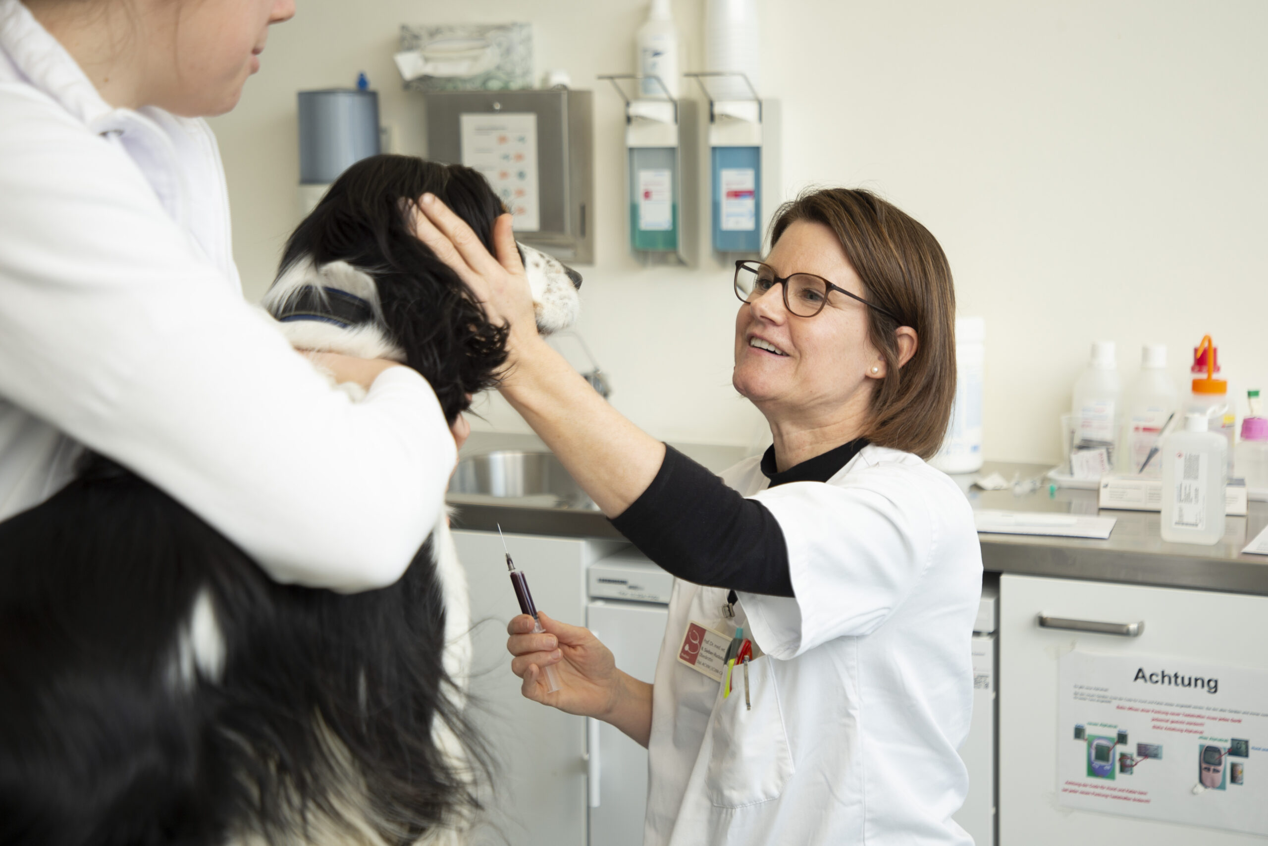 Mitarbeiterportrait von ***, *** in der *** des Universitären Tierspitals der Vetsuisse-Fakultät der Universität Zürich