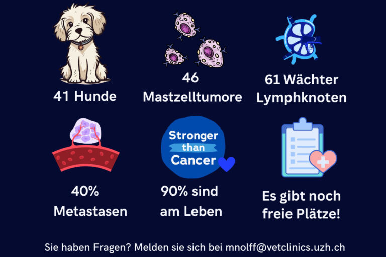 Mastzelltumor Grad 3 Hund Erfahrungen www.tierspital.uzh.ch