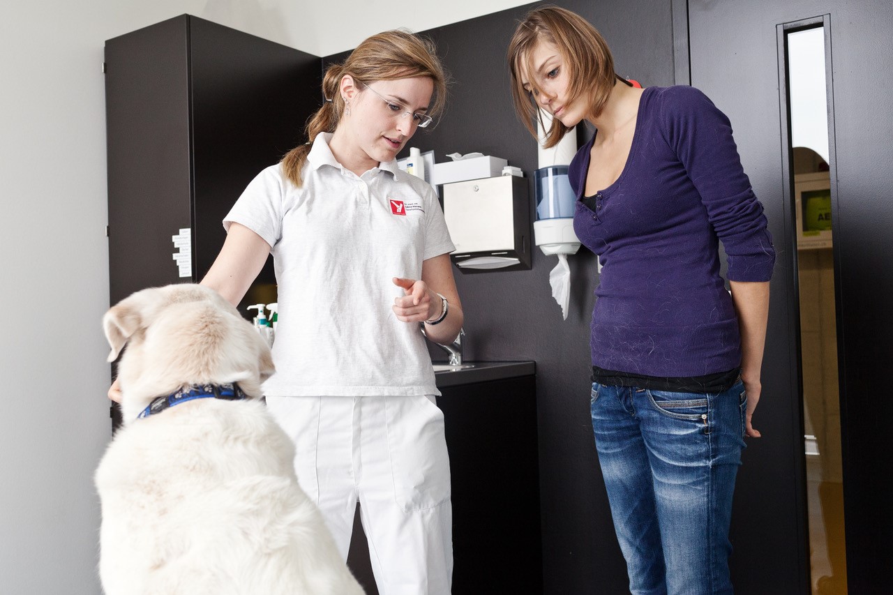 Tierphysiotherapeutin im Behandlungsraum im Gespräch mit Hundehalterin, beide stehen vor einem sitzenden Hund und besprechen die nächsten Behandlungsschritte.
