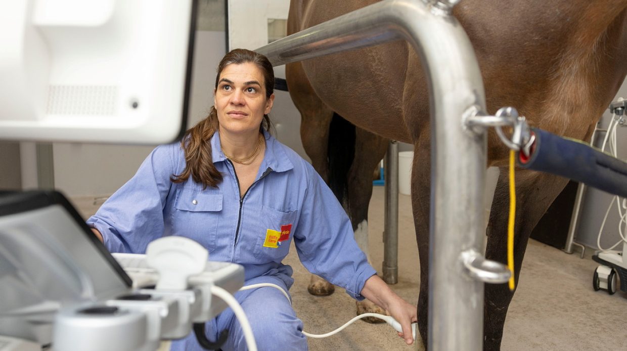 Actionportrait von Andrea Bischofberger, Oberärztin in der Bildgebung des Universitären Tierspitals der Vetsuisse-Fakultät der Universität Zürich *** Local Caption *** Pferd wurde auch für Imagefilm des Tierspitals aufgenommen, deshalb kann davon ausgegangen werden, das eine Einverständniserklärung des Besitzers vorliegt.