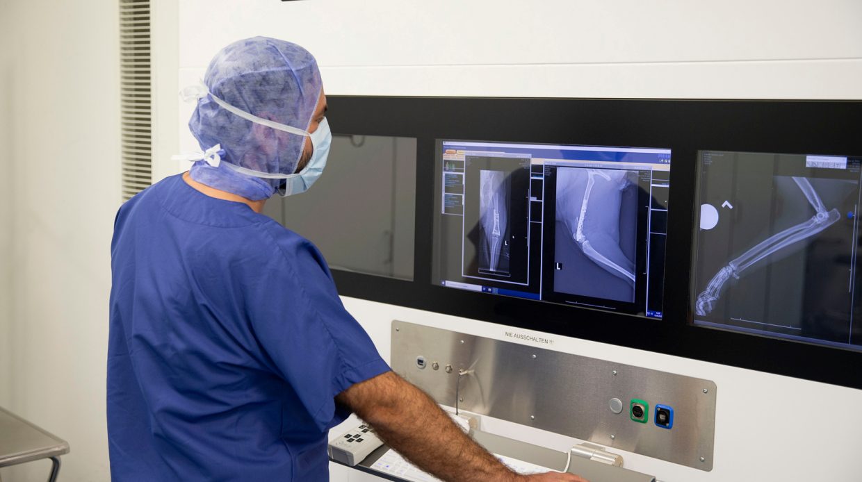 Actionportrait von Pavlos Natsios, Chirurg in der Kleintierklinik des Universitären Tierspitals der Vetsuisse-Fakultät der Universität Zürich