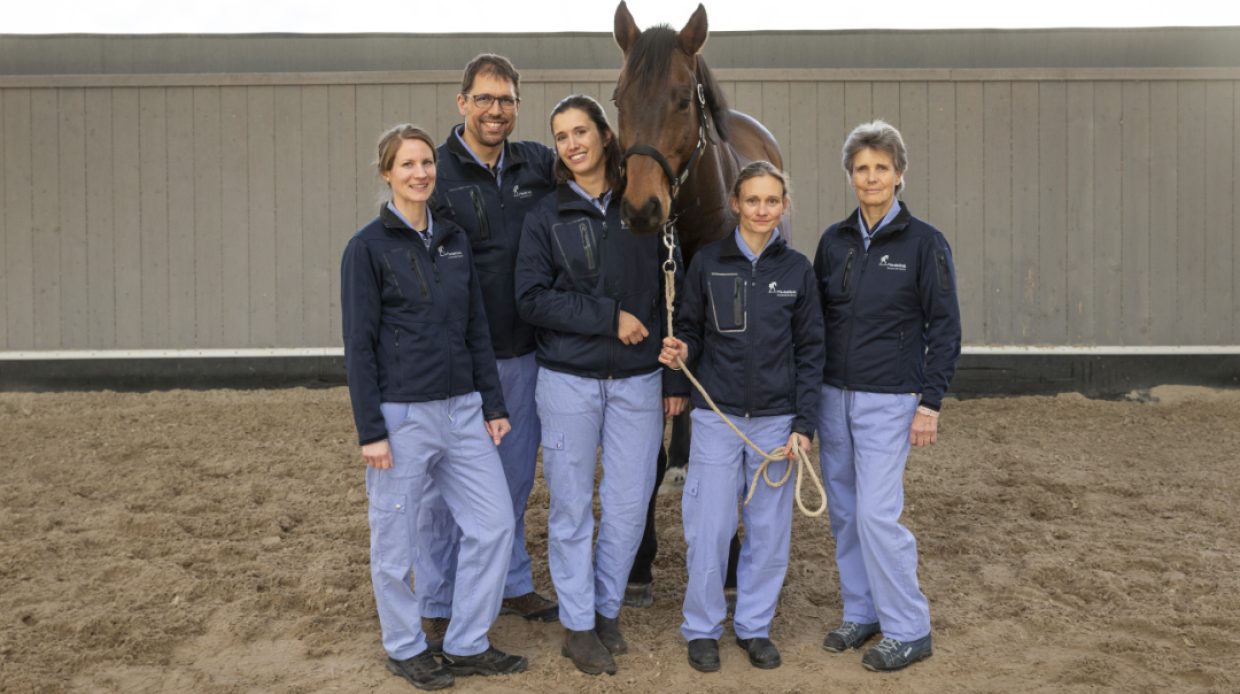 Gruppenfoto der Oberärzte der Pferdemedizin des Universitären Tierspitals der Vetsuisse-Fakultät der Universität Zürich