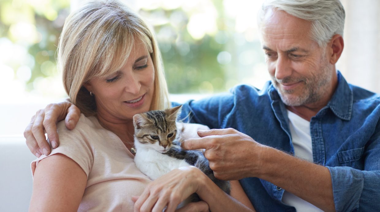 Cropped shot of a mature couple sitting with their kittenhttp://195.154.178.81/DATA/i_collage/pu/shoots/805495.jpg