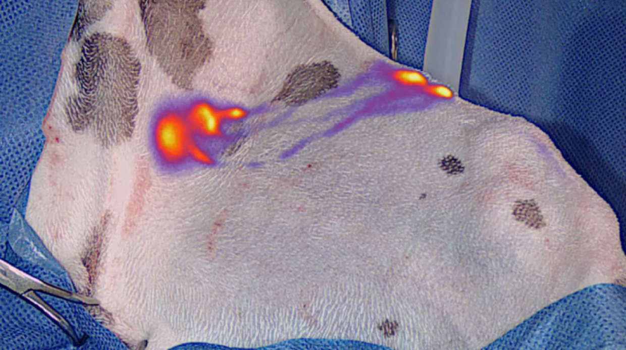 UTZ_KT_Chirurgie_Operation_Licht_2