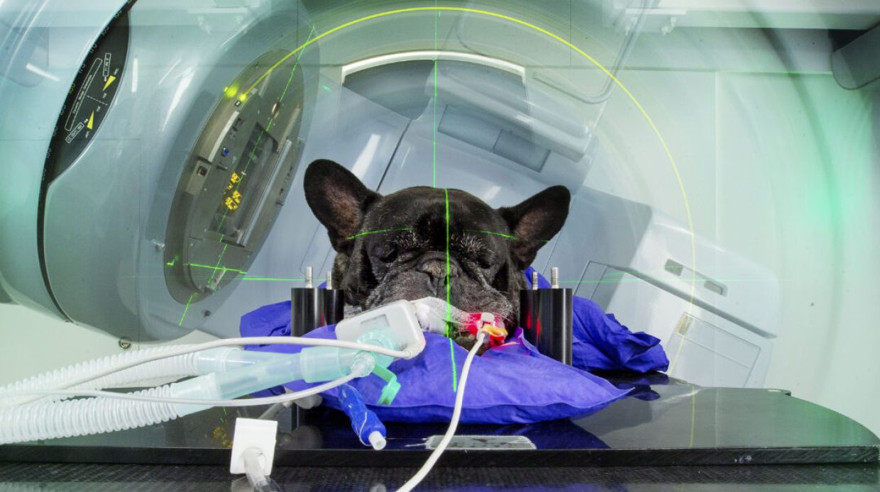 UTZ_KT_Radio_Onkologie_Flyer