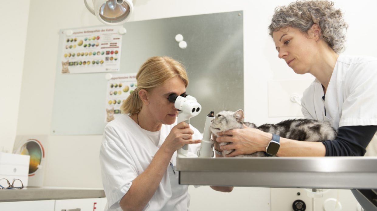 UTZ_Ophtalmologie_KT_Rampazzo_Antonella